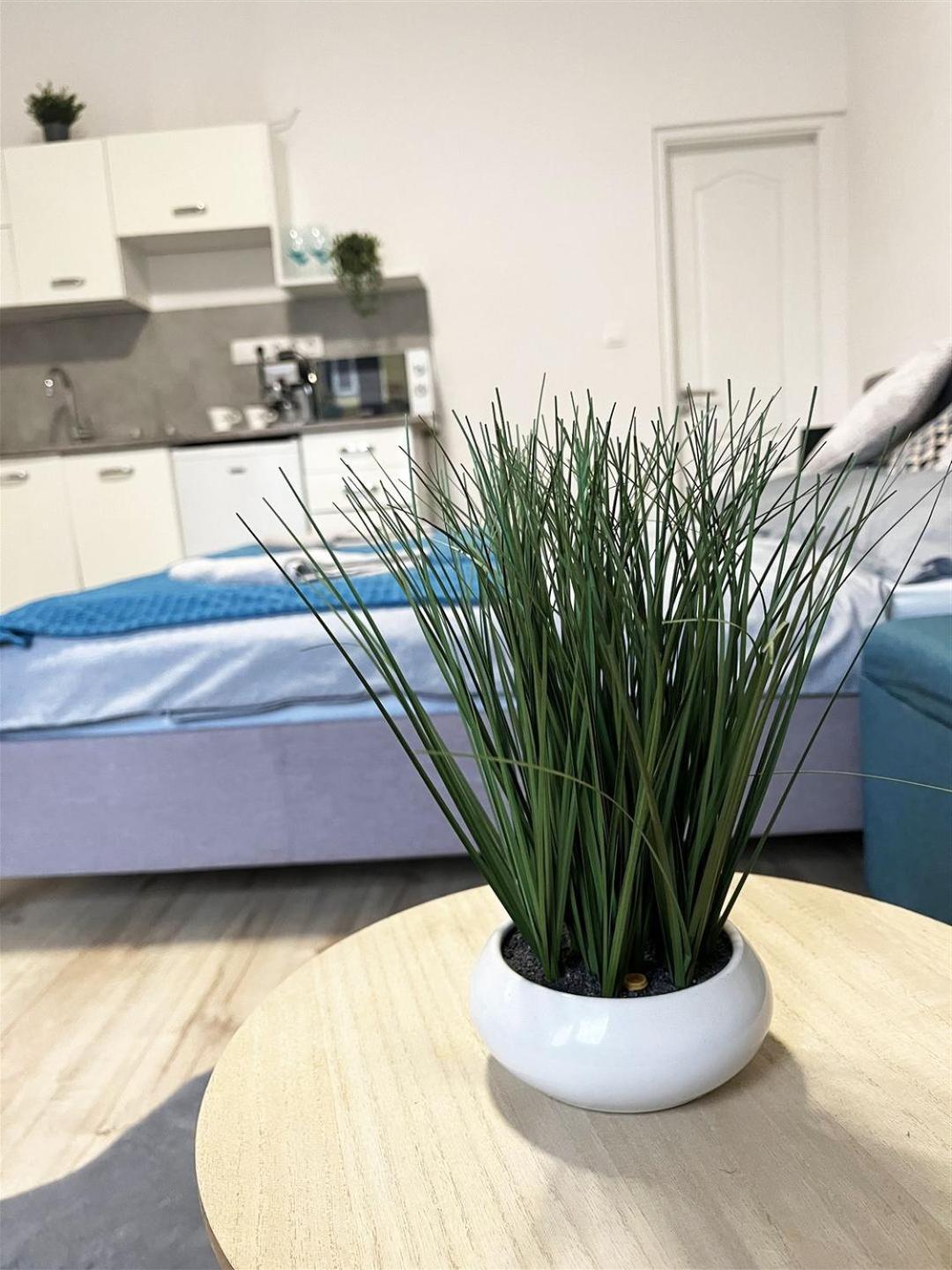 Bereg Szive Apartman Vasarosnameny Ngoại thất bức ảnh